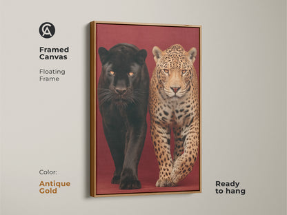 Framed canvas art featuring a jaguar and black panther. This photorealistic big cat print boasts an antique gold floating frame. Ready to hang this wildlife animal artwork brings a touch of the exotic. A luxurious animal canvas print and powerful animal print for a study room or office