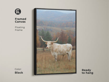 Framed canvas art featuring a Longhorn in a field. The canvas has a floating black frame. Ready to hang in your home or office. The artwork shows a beautiful Longhorn in a natural setting with fall colors.
