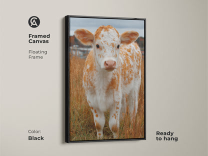 Framed canvas of a calf standing in a field with a black floating frame. This animal art is ready to hang. The calf is white with orange spots. It is a cute artwork for a child's room. Buy framed canvas art online today.