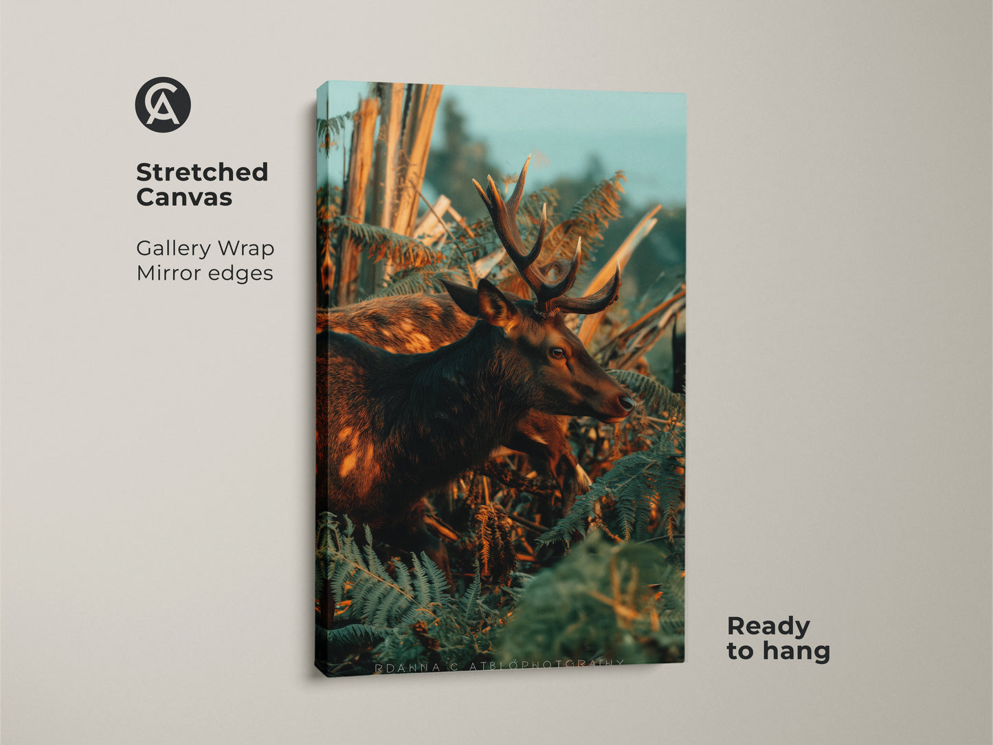 Stretched canvas print showcasing a majestic deer among lush ferns. Gallery wrapped with mirrored edges this wildlife art is ready to hang. The amber brown teal tones create a rustic nature scene. Ideal for adding wildlife charm to any room. Perfect for a hunting lodge or nature-themed decor.