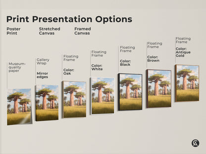 Print presentation options for the African Baobab tree art. Options include poster print stretched canvas and framed canvas. Frame colors include oak white black brown and antique gold. Perfect African inspired home decor.
