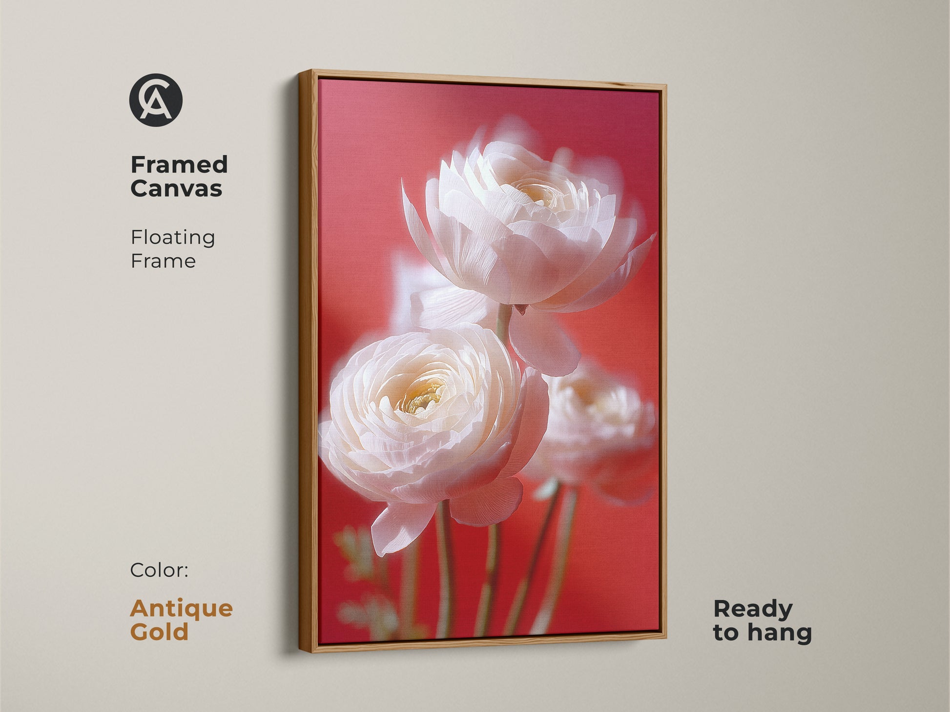 Antique gold framed canvas art showcasing soft focus white ranunculus. This contemporary botanical print features a coral pink background. Ready to hang this floral art brings natural beauty into your home. This high quality canvas print serves as an ideal anniversary gift.