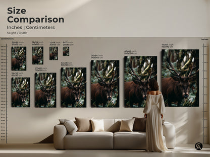 Compare sizes of our forest deer canvas art. This size comparison guide shows how the artwork fits above furniture. It offers options for 20x30 inch to 45x67 inch prints. Select the ideal scale for your rustic wildlife photography. Transform your home with natural decor today.