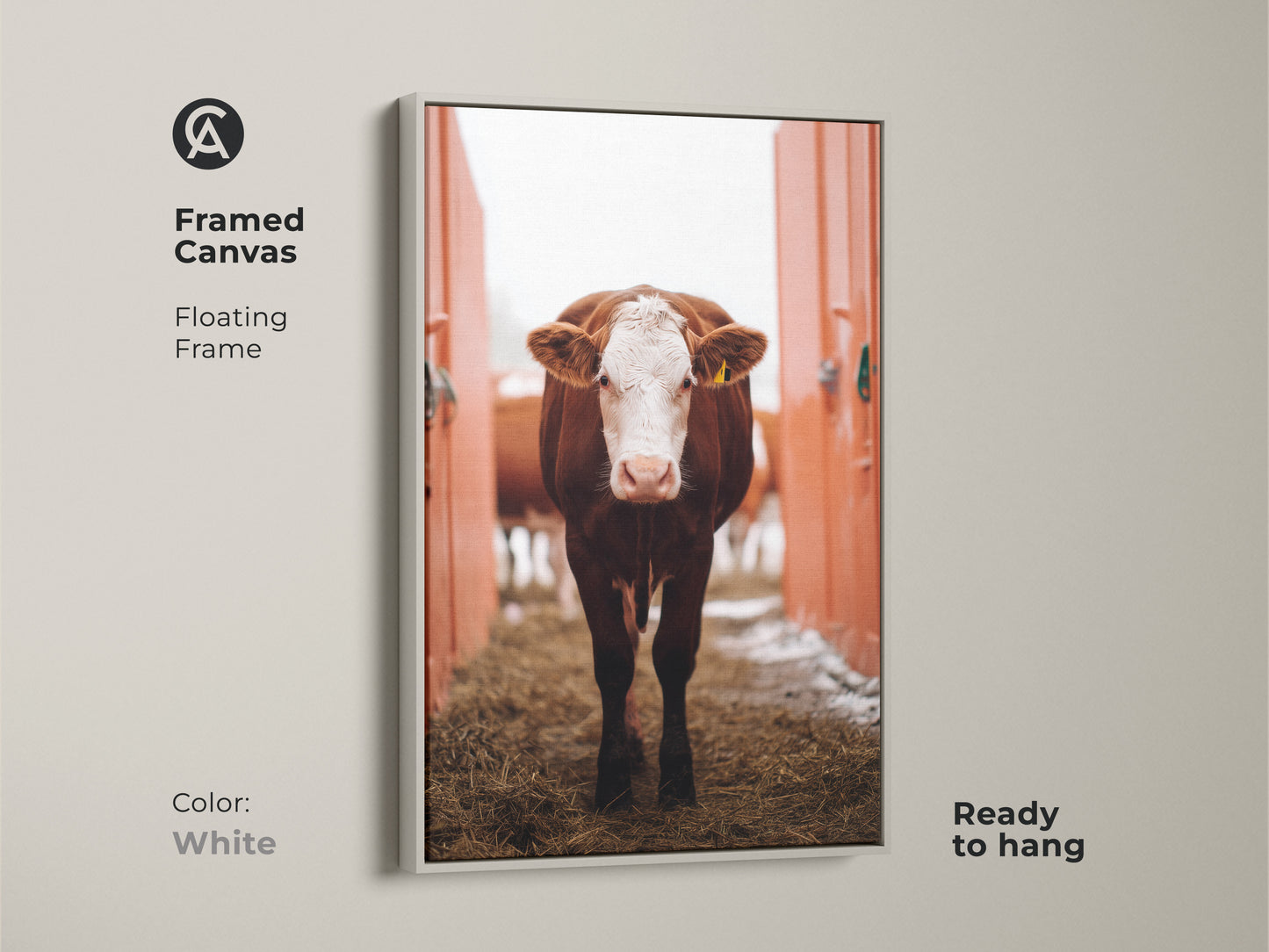 Framed canvas of a farmhouse cow artwork with a floating white frame. The ready-to-hang art print features a brown and white farm animal. Great piece for rustic home decor.