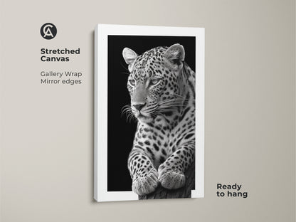 Stretched canvas featuring a monochrome leopard artwork. The realistic animal print has gallery wrapped mirror edges. Ready to hang this black and white leopard canvas adds modern touch. Buy today!