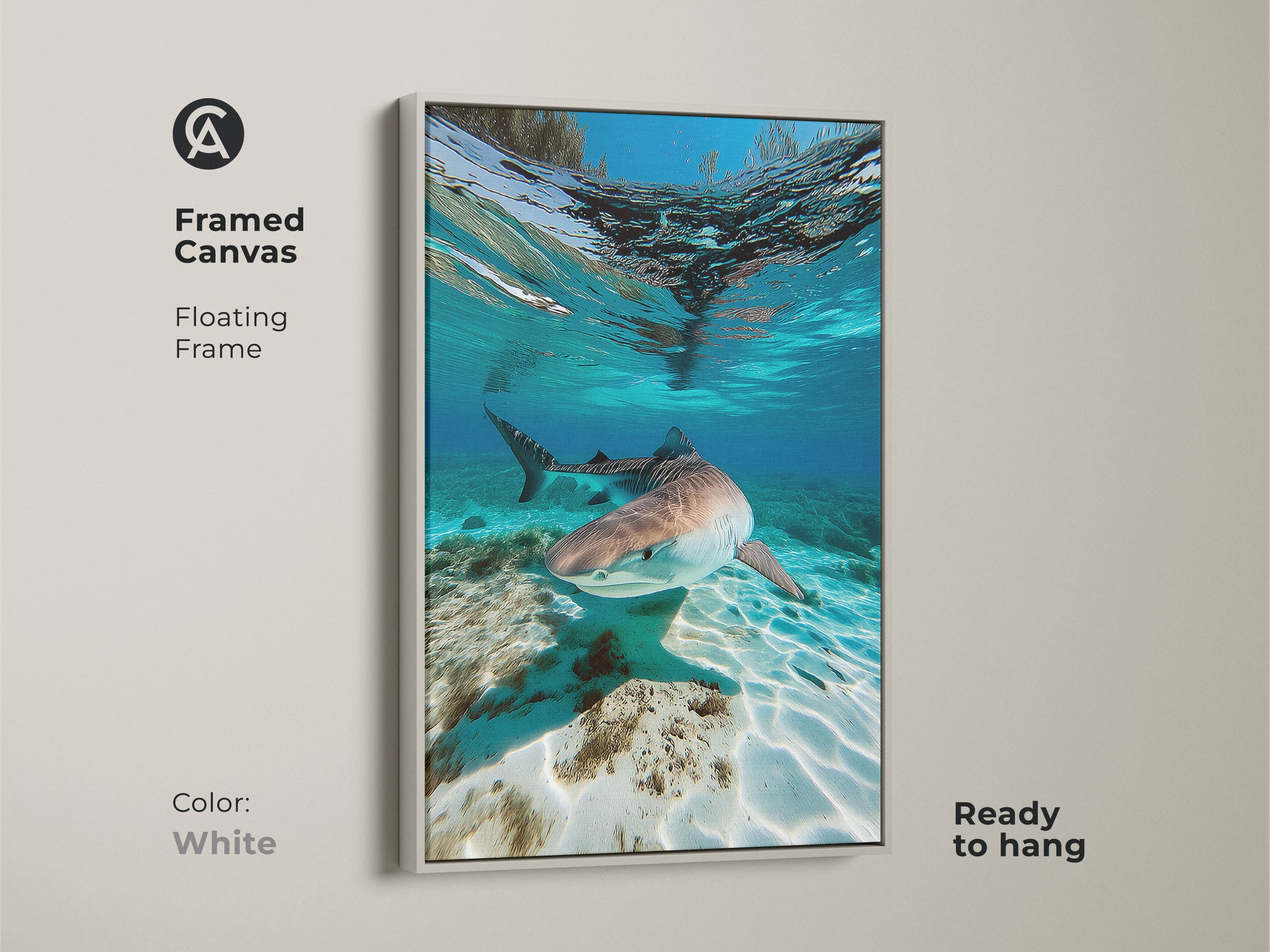 Framed canvas art of an underwater Tiger Shark in a white floating frame. This wildlife artwork captures a shark swimming in aqua turquoise ocean waters. Ready to hang this coastal art is perfect for adding a serene ocean scene to your living space.