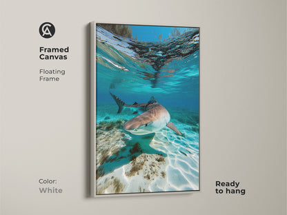 Framed canvas art of an underwater Tiger Shark in a white floating frame. This wildlife artwork captures a shark swimming in aqua turquoise ocean waters. Ready to hang this coastal art is perfect for adding a serene ocean scene to your living space.
