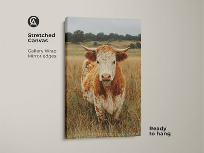 A stretched canvas displays a cow portrait with a gallery wrap. The cow stands in a field of dry grass. The canvas is ready to hang and features mirrored edges. This is perfect for animal art collectors.