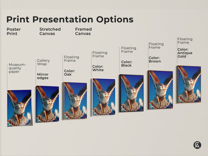 Explore print presentation options like poster print stretched canvas or framed canvas. Each features realistic falcon art and blue sky nature decor. Discover the perfect bird of prey artwork to enhance your office desk decor or study room.