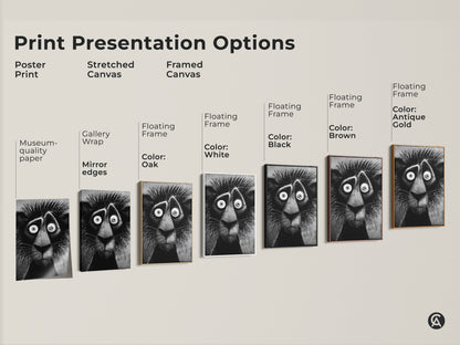 Print presentation options featuring a lion artwork. This includes poster prints and stretched canvas prints. It also includes framed canvas in black brown antique gold and white. Enhance your home decor today.