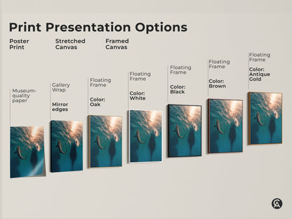 Explore print presentation options for shark and sailboat art. Choose from poster prints stretched canvas or framed canvas. Each offers museum-quality paper gallery wrap or floating frames. Find the perfect modern ocean art.