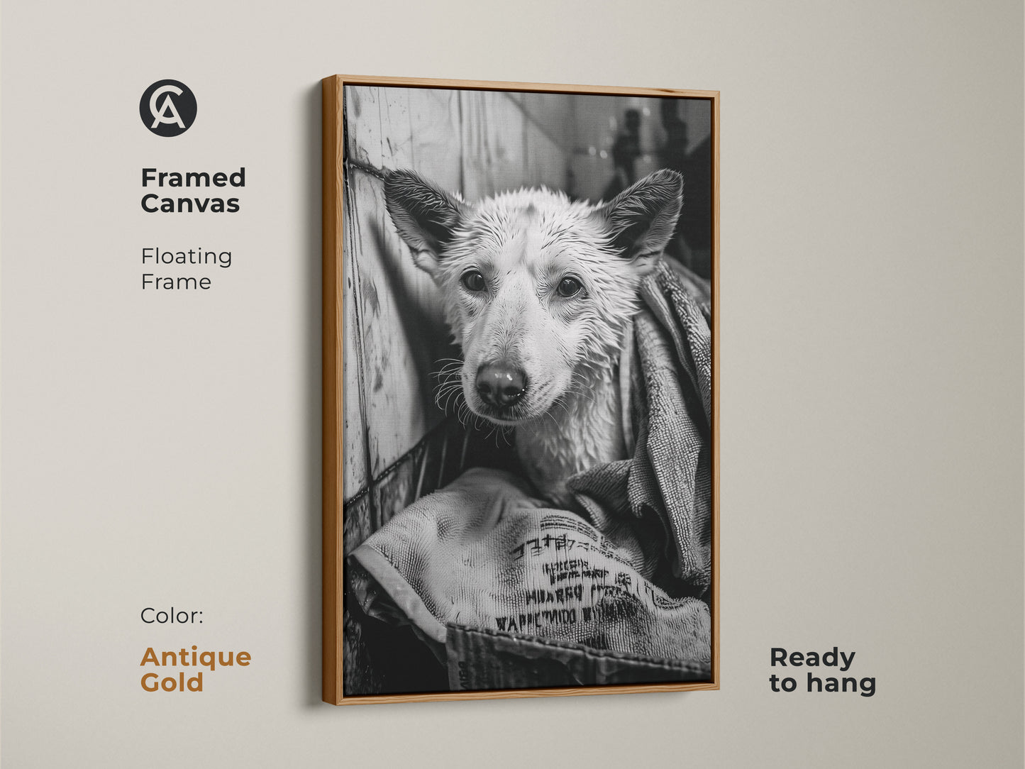 Framed canvas art in antique gold showcasing a wet dog. The floating frame gives a sophisticated look. This ready-to-hang monochrome artwork is great for dog lovers. The canine art piece is a unique addition to your home. It is a stylish decor choice.
