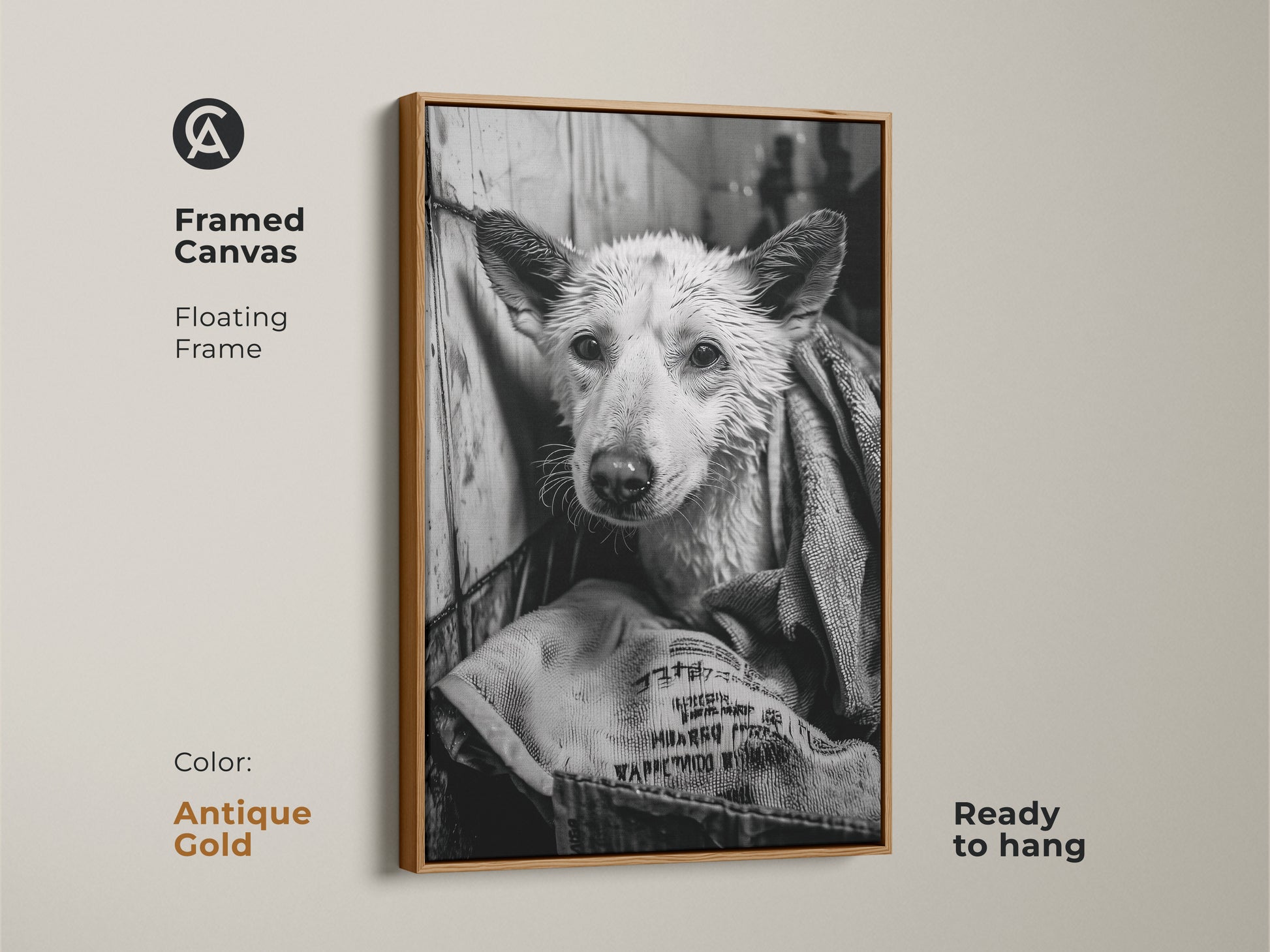 Framed canvas art in antique gold showcasing a wet dog. The floating frame gives a sophisticated look. This ready-to-hang monochrome artwork is great for dog lovers. The canine art piece is a unique addition to your home. It is a stylish decor choice.