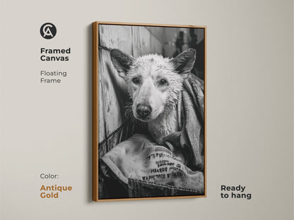 Framed canvas art in antique gold showcasing a wet dog. The floating frame gives a sophisticated look. This ready-to-hang monochrome artwork is great for dog lovers. The canine art piece is a unique addition to your home. It is a stylish decor choice.