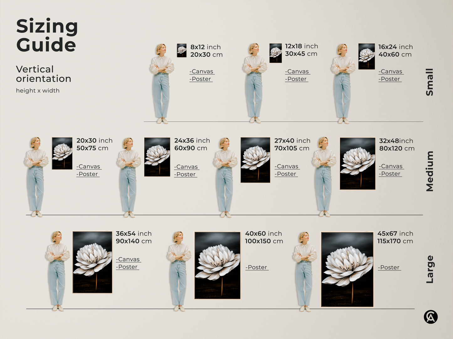 Sizing guide for botanical artwork. Choose from small medium and large canvas or poster prints. Realistic white flower artwork to fit any space from 8x12 to 45x67 inches.