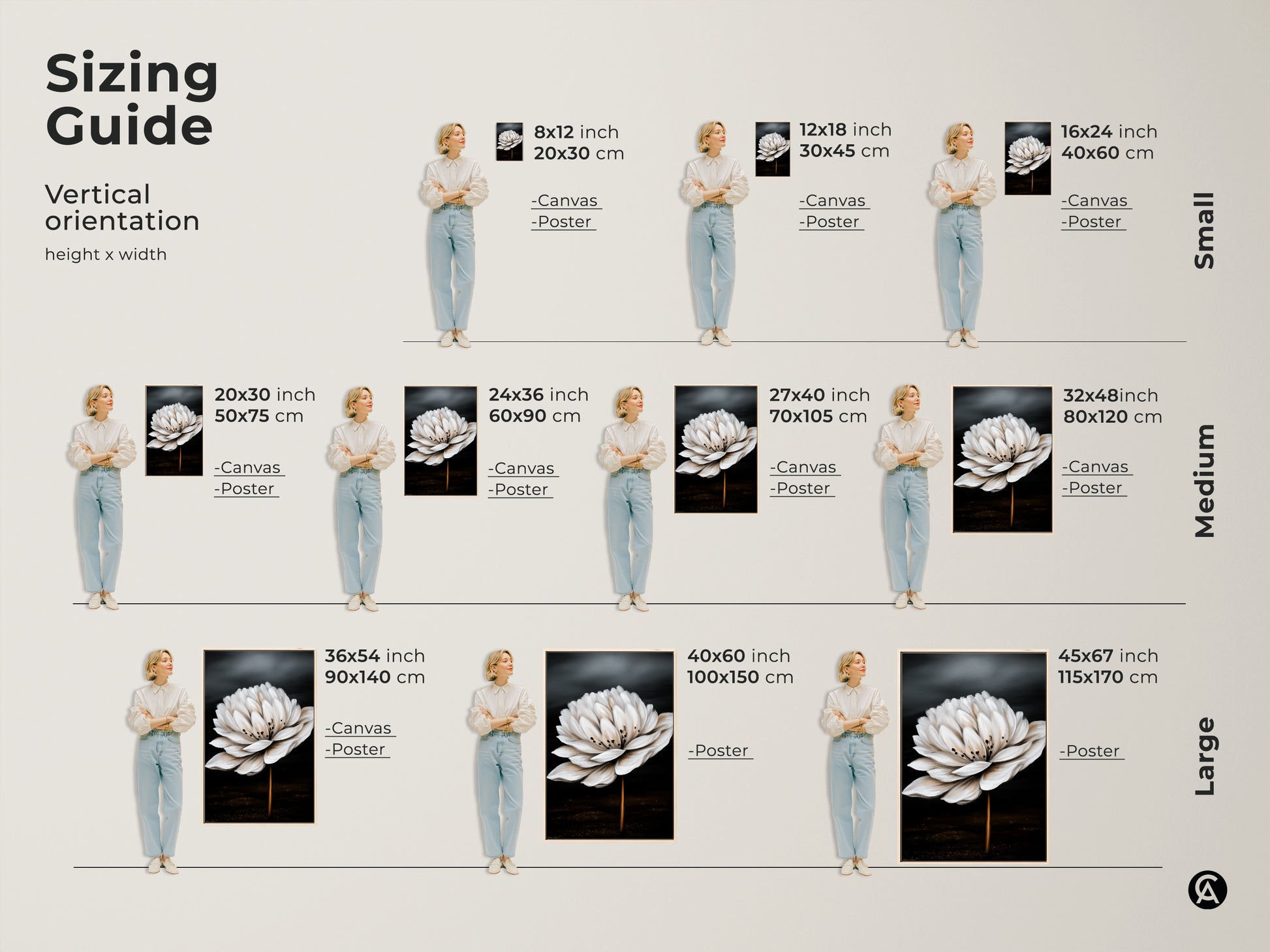 Sizing guide for botanical artwork. Choose from small medium and large canvas or poster prints. Realistic white flower artwork to fit any space from 8x12 to 45x67 inches.
