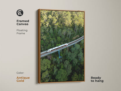 This framed canvas art features an aerial train. The artwork is set in a floating frame in antique gold. This green forest canvas is ready to hang. This modern transportation print is perfect as a housewarming gift art. The contemporary nature art adds charm.