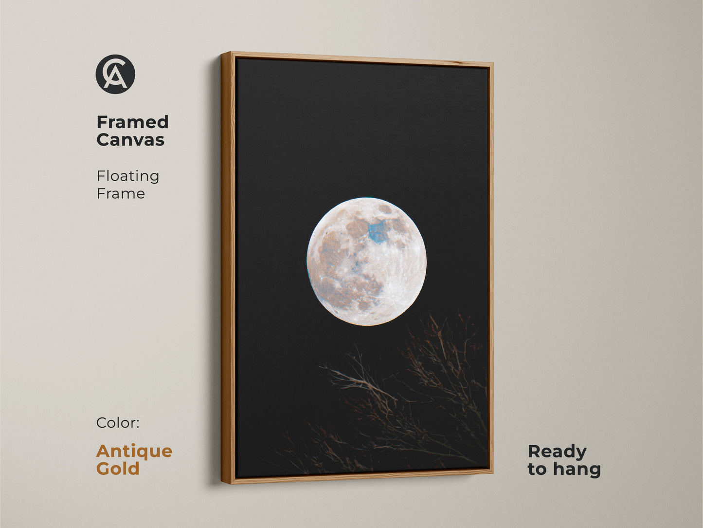 Framed moon canvas art in an antique gold floating frame. This wall art features a full moon against a black sky. Branches are silhouetted at the bottom. The art is ready to hang. Shop antique gold framed art now.