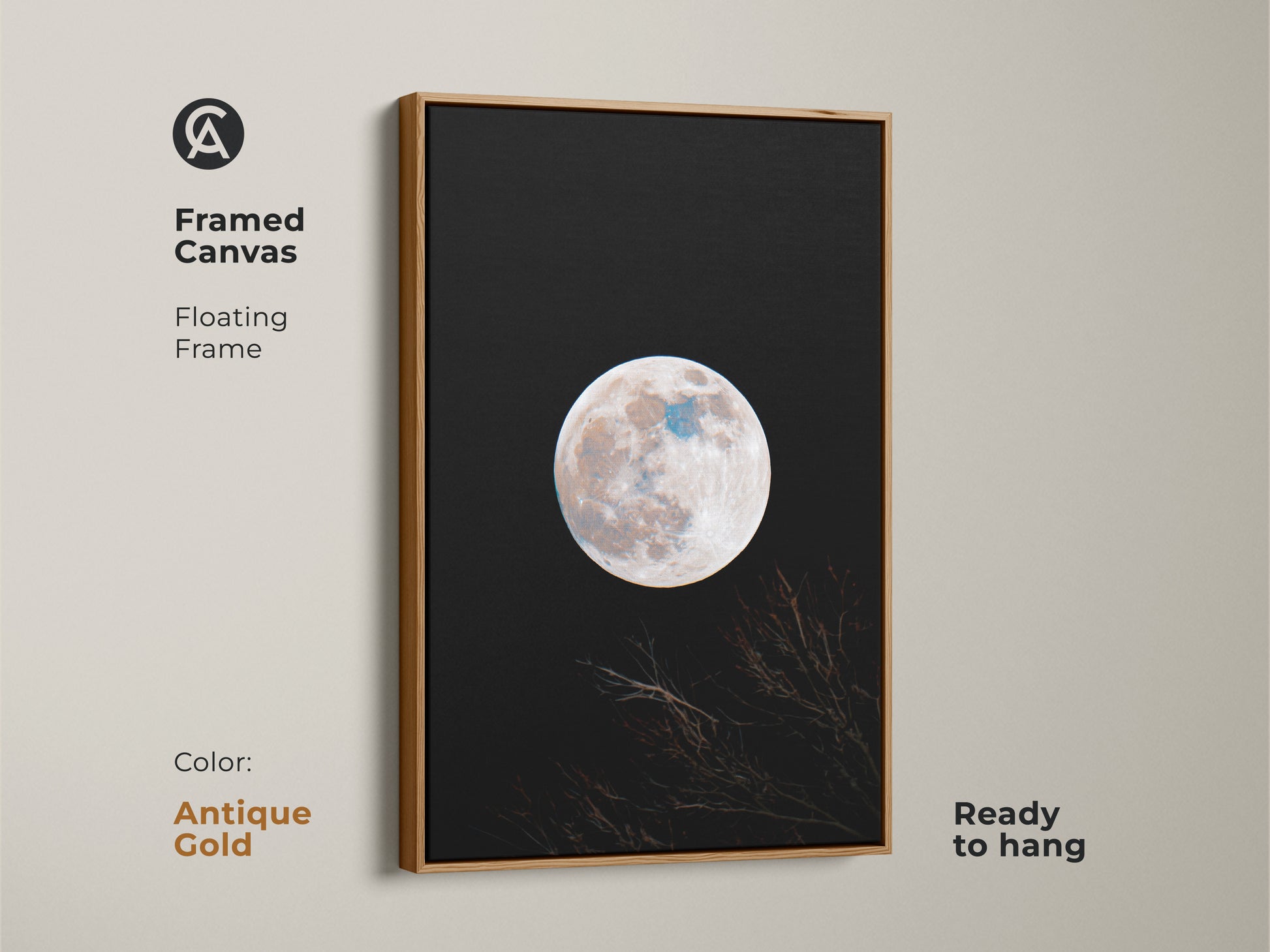 Framed moon canvas art in an antique gold floating frame. This wall art features a full moon against a black sky. Branches are silhouetted at the bottom. The art is ready to hang. Shop antique gold framed art now.