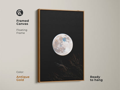 Framed moon canvas art in an antique gold floating frame. This wall art features a full moon against a black sky. Branches are silhouetted at the bottom. The art is ready to hang. Shop antique gold framed art now.