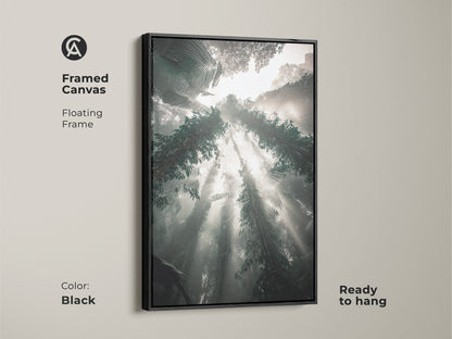 Framed Canvas featuring sunbeams through misty trees provides calming wall decor. The black floating frame enhances the teal gray green nature artwork that is ready to hang. This serene forest view artwork offers a biophilic touch to your space.