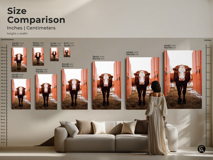 Size comparison showcasing farmhouse cow artwork canvas prints. Visualize how the artwork fits above a couch. Brown and white farm animal aesthetics enhance your country-style living room decor.