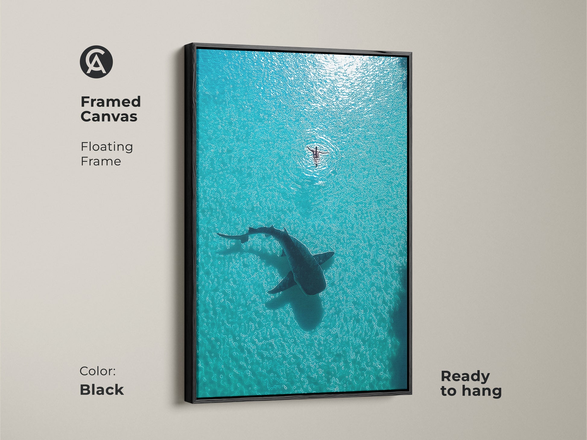 Framed Canvas with a black floating frame featuring an aerial view of a whale shark and swimmer. This turquoise deep blue ocean art is ready to hang. Add coastal charm to your space with this unique wildlife artwork. A perfect housewarming gift.