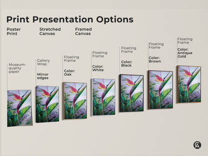Print presentation options including poster print stretched canvas and framed canvas. Floating frame colors vary from white to antique gold. Showcasing abstract Bird of Paradise tropical botanical art prints. Find the perfect boho decor piece and vibrant housewarming gift. Options for every style.