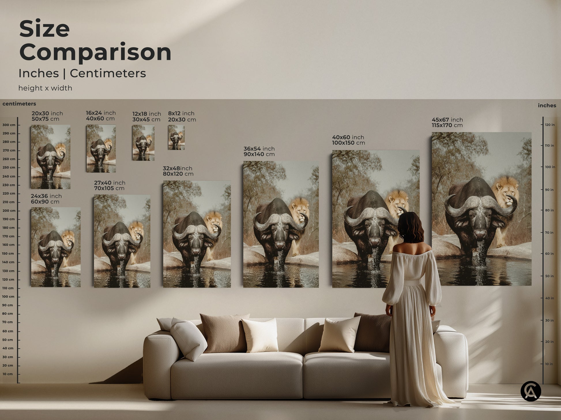 Size comparison of African buffalo and lion canvas and poster prints. Visualize dimensions in inches and centimeters. Ranging from 20x30 cm to 115x170 cm. These earthy tones nature prints add depth to your home decor. Perfect for any wall.