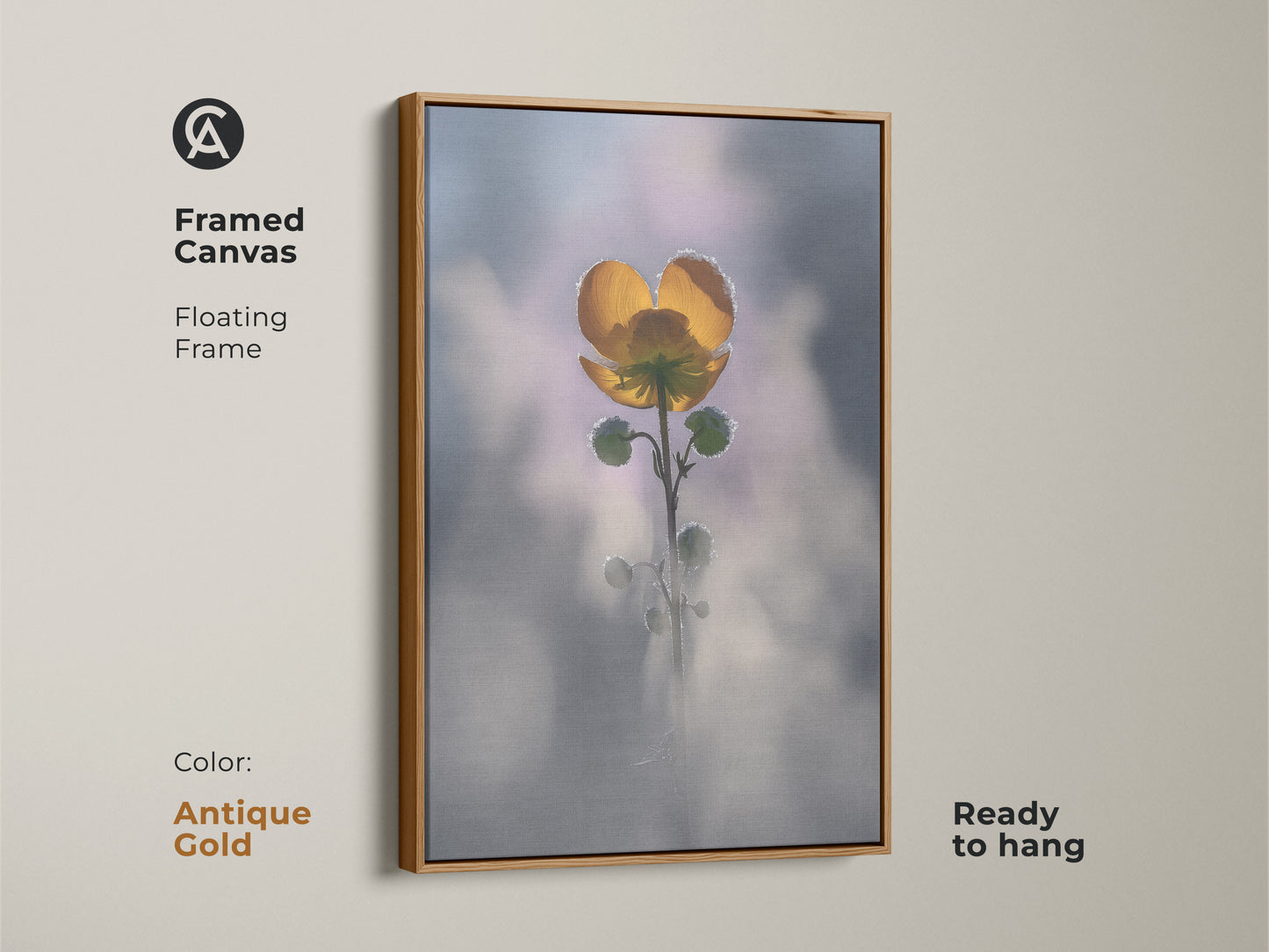 Antique gold framed canvas of a yellow buttercup. Floating frame enhances the macro nature photography. Soft focus botanical wall art is ready to hang. This boho bedroom nature decor makes a great plant lover gift.