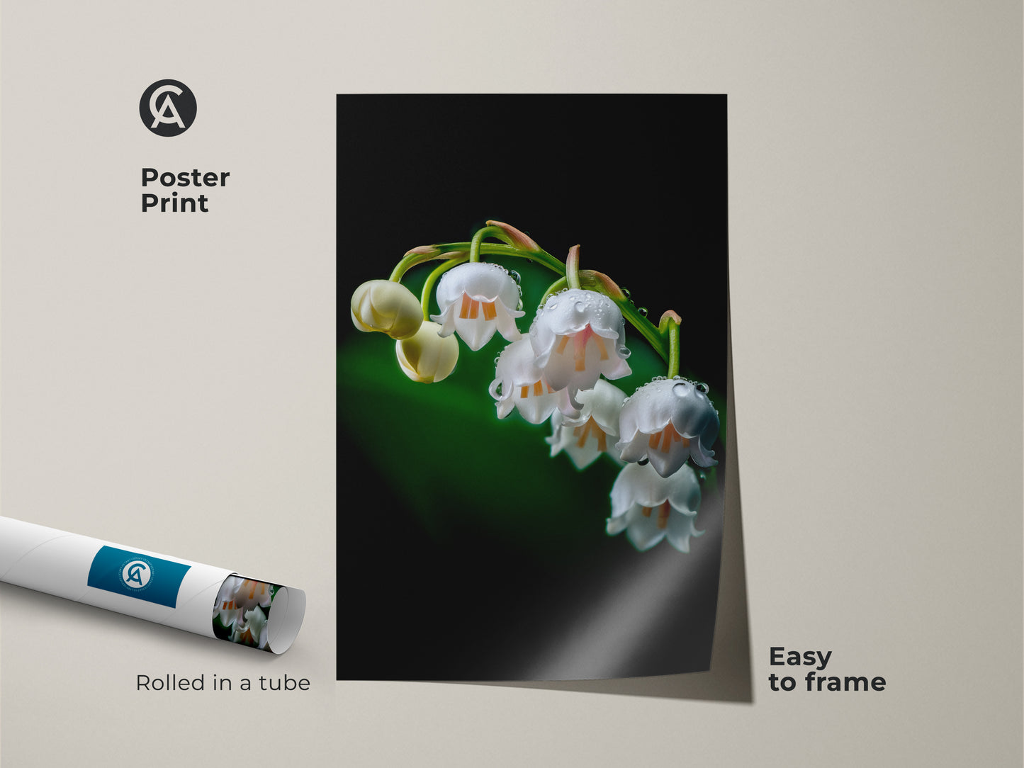 A poster print of Lily of the Valley art rolled next to a framed version. The macro nature photo showcases dewdrops on delicate white flowers. This botanical art is easy to frame. It brings spring freshness to your wall decor.