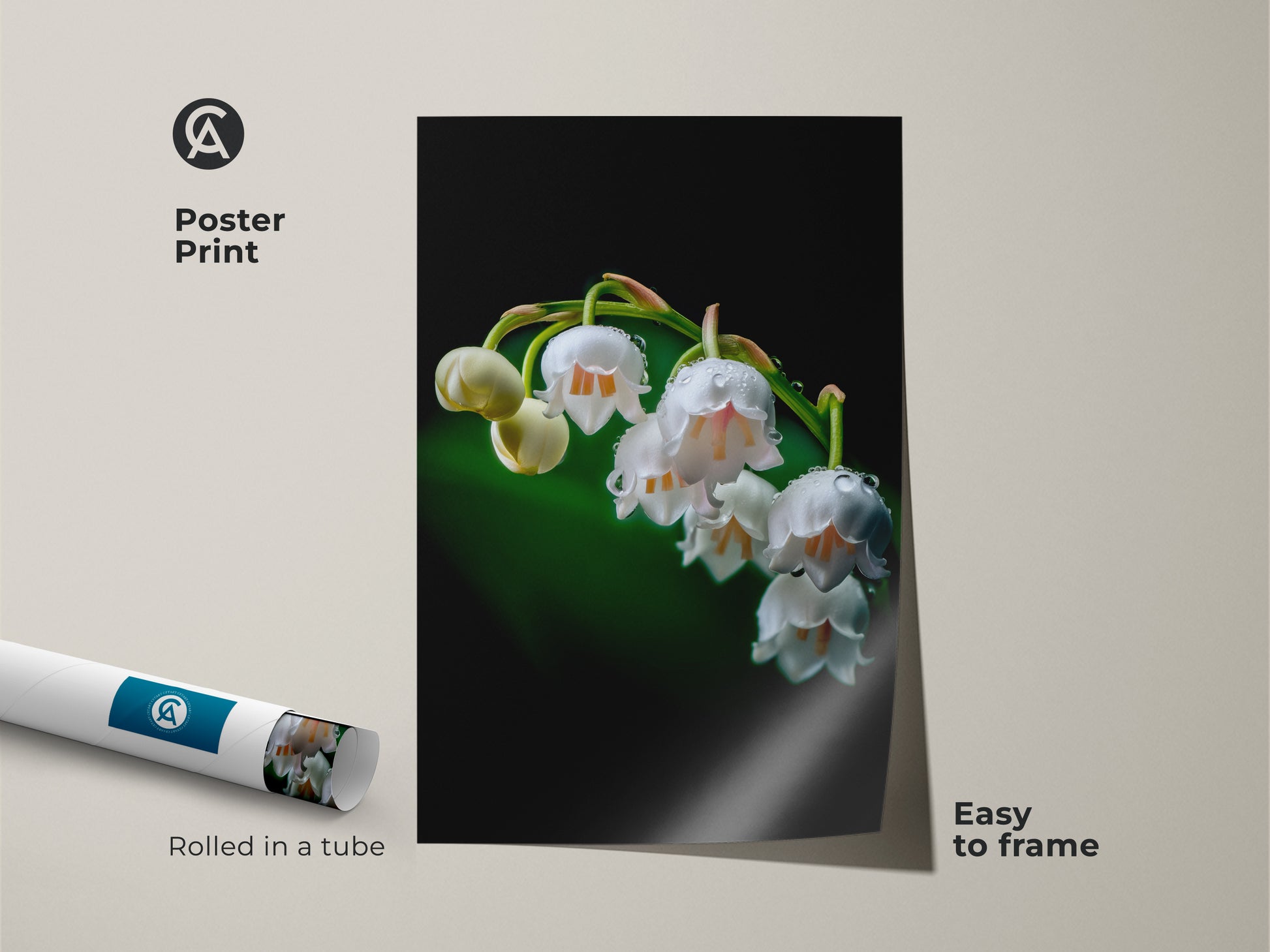 A poster print of Lily of the Valley art rolled next to a framed version. The macro nature photo showcases dewdrops on delicate white flowers. This botanical art is easy to frame. It brings spring freshness to your wall decor.