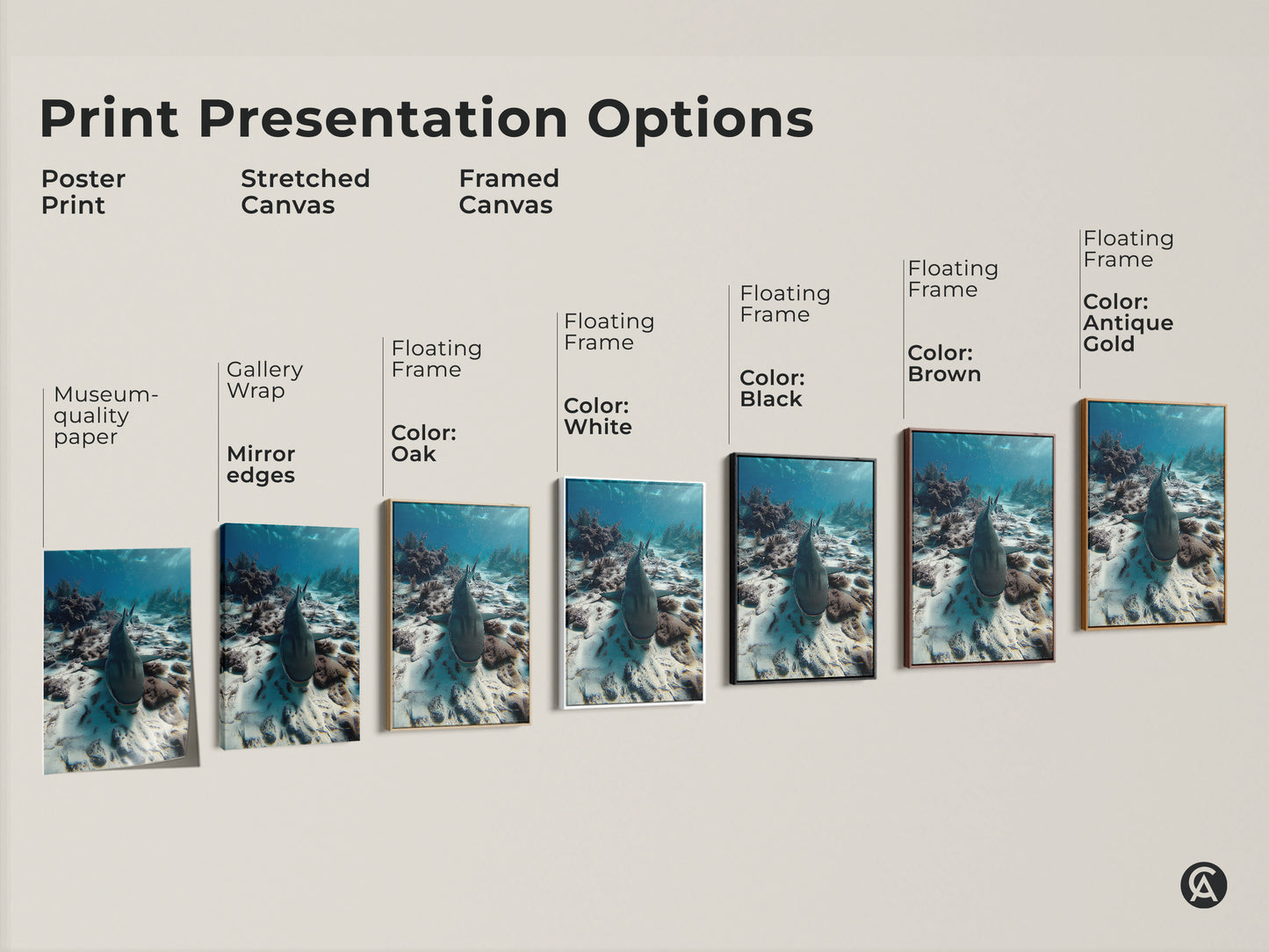 Explore print presentation options for underwater shark artwork. Choose from poster prints stretched canvas and framed canvas. Options include gallery wrap museum quality paper and floating frames in various colors. This wildlife photography print is perfect for adding a touch of the ocean to any space.
