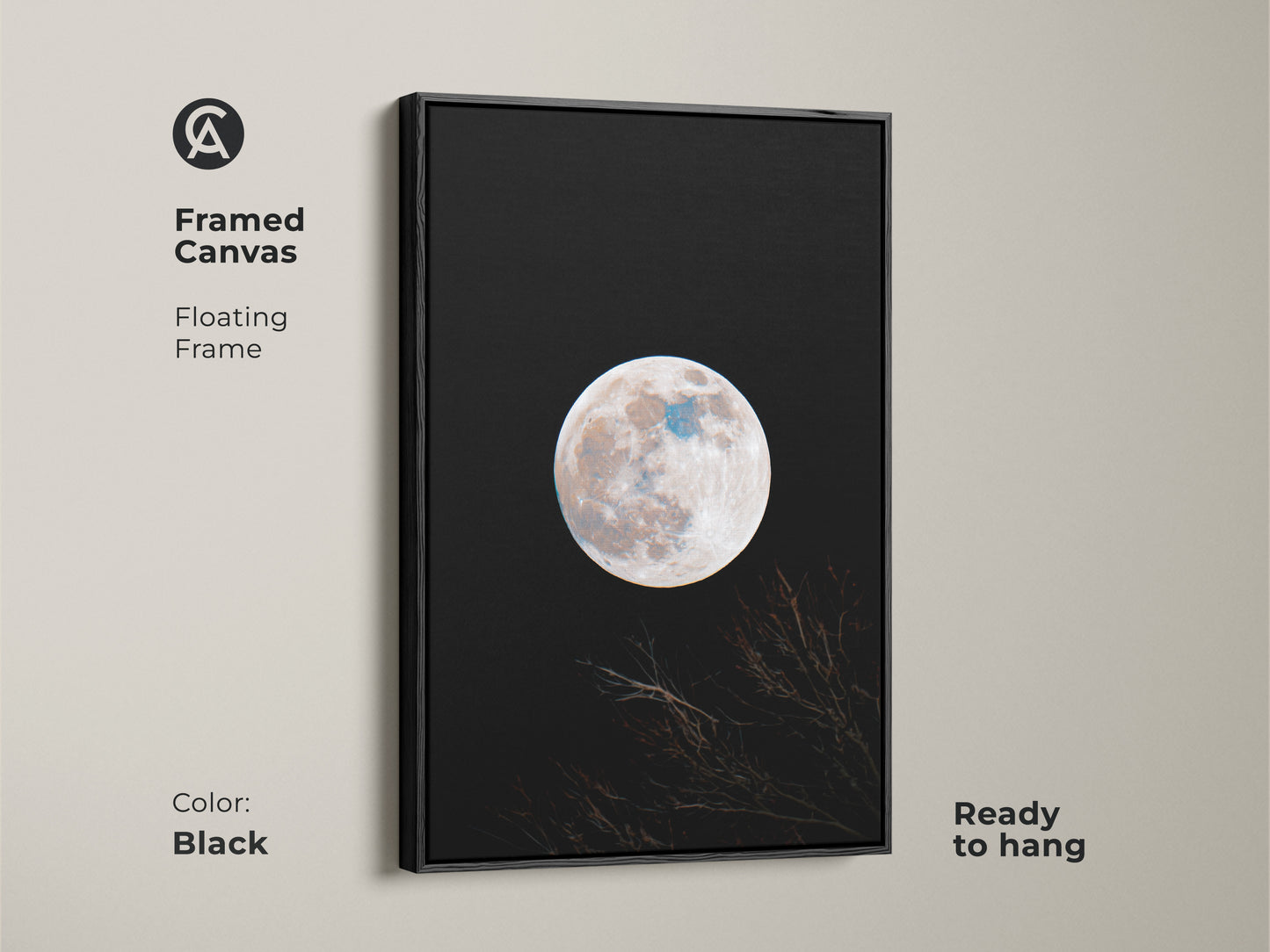 Framed canvas print of a moon. This floating framed canvas features a full moon against a black sky. Branches are silhouetted at the bottom. The frame is black and the canvas is ready to hang. Shop framed moon art.
