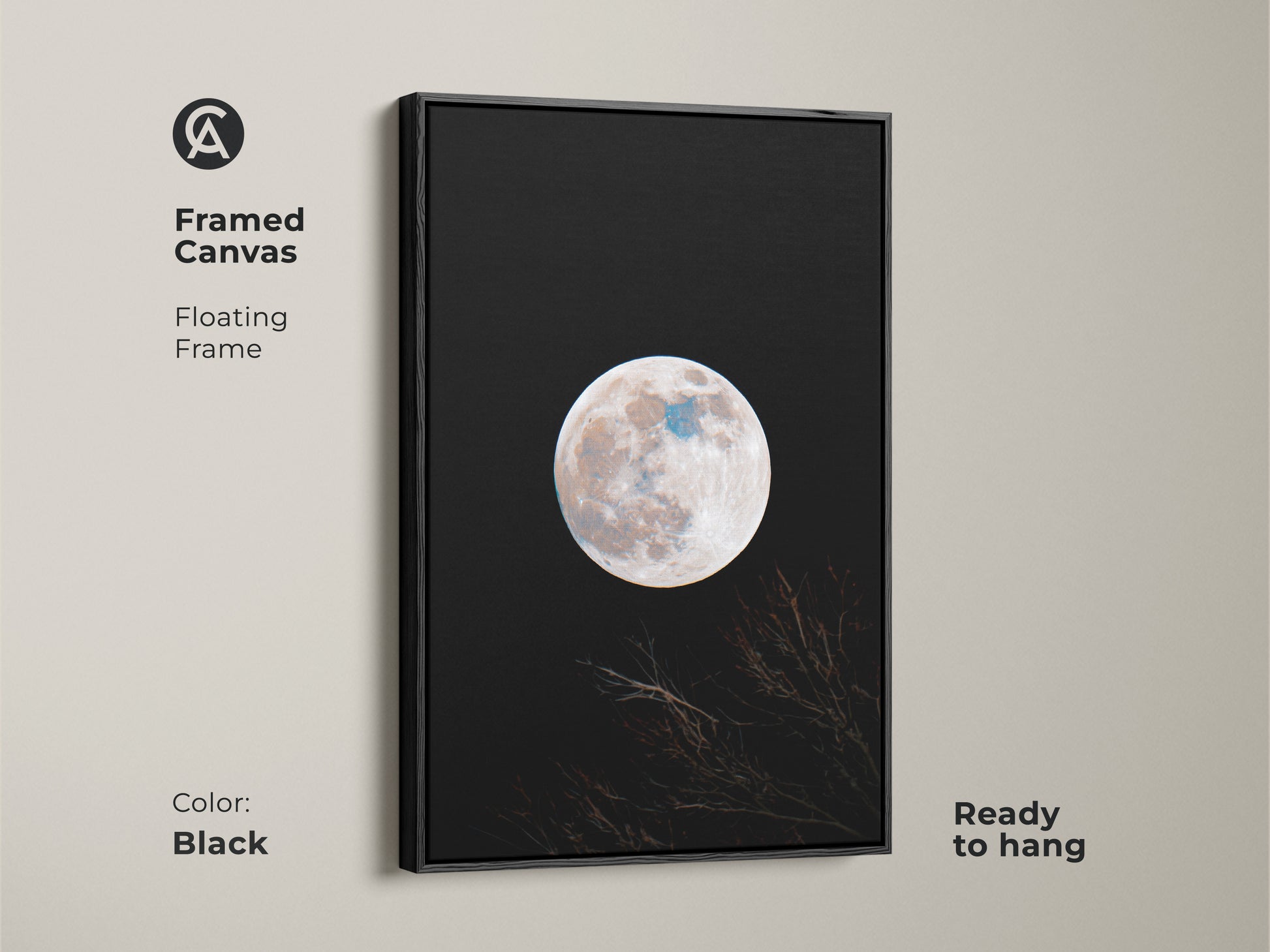 Framed canvas print of a moon. This floating framed canvas features a full moon against a black sky. Branches are silhouetted at the bottom. The frame is black and the canvas is ready to hang. Shop framed moon art.
