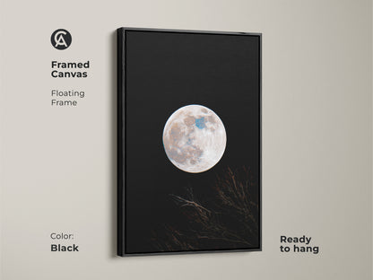 Framed canvas print of a moon. This floating framed canvas features a full moon against a black sky. Branches are silhouetted at the bottom. The frame is black and the canvas is ready to hang. Shop framed moon art.