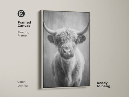 White framed canvas displaying a monochrome highland cow. The floating frame complements the rustic farmhouse decor. Ready to hang this Scottish cattle canvas art is a great gift for cow lovers. A scandi farmhouse art piece.