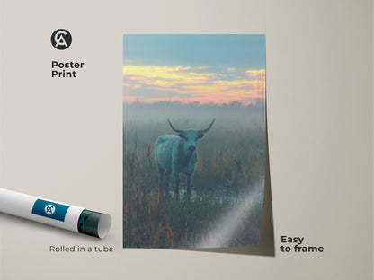 Poster print of a longhorn bull standing in a misty field. This museum-quality paper print is easy to frame. The fine art poster captures the serene beauty of the animal in its natural habitat. Rolled in a tube.