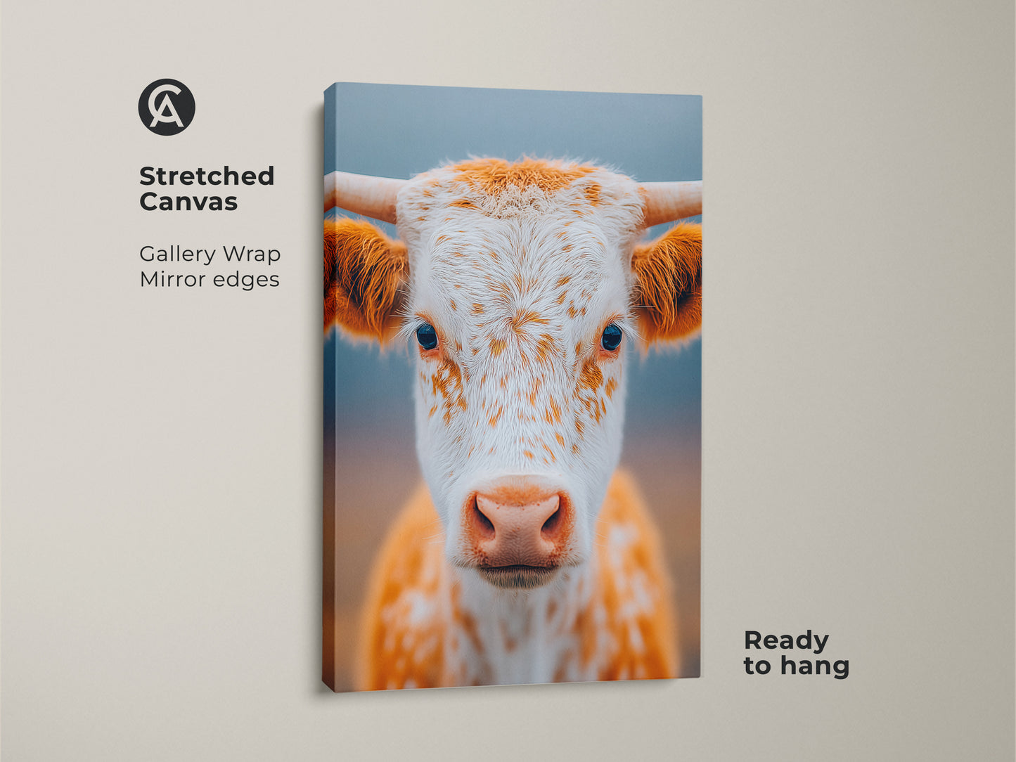 Stretched canvas gallery wrap of a longhorn calf. Mirror edges create a clean look. The canvas is ready to hang. This portrait adds warmth and character. The art is professionally produced.