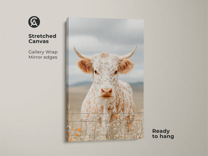 Stretched canvas art featuring a white and brown speckled longhorn cow. The canvas has gallery wrapped mirror edges. The cow stands behind a barbed wire fence. Orange wildflowers are at the base. This canvas artwork is ready to hang.