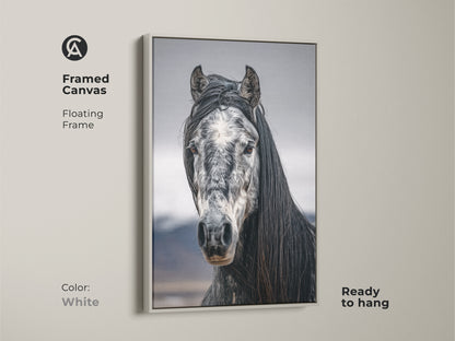 Framed canvas with a floating frame in white. Black and white horse art for rustic bedroom wall decor. Ready to hang equestrian gift for her. Photorealistic horse canvas print.