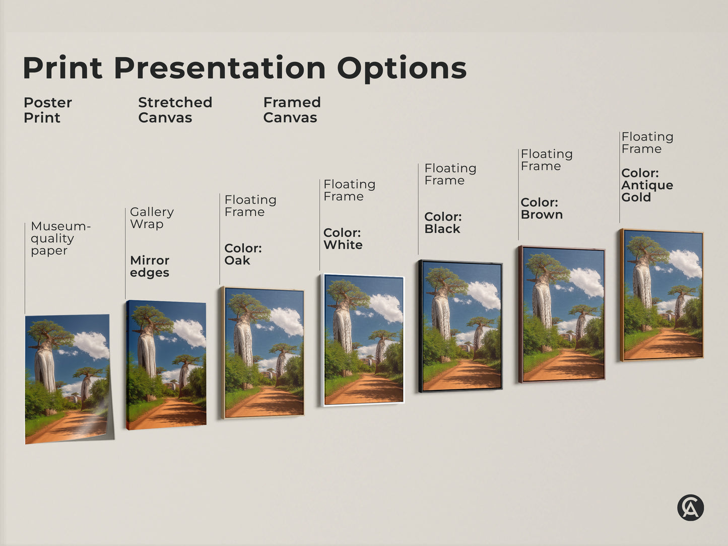 Print presentation options for African Baobab Tree art. See poster print stretched canvas and framed canvas options. Multiple floating frame colors are available. Museum quality paper is used.