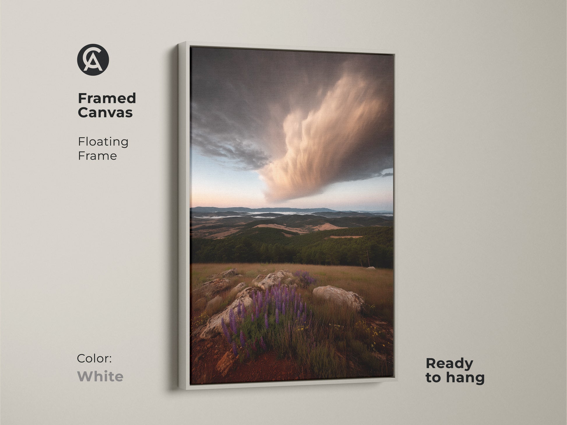 Framed canvas print capturing a dramatic storm cloud over wildflowers. The floating white frame offers a clean modern look. This nature lover gift art brings natural beauty indoors. Ready to hang.