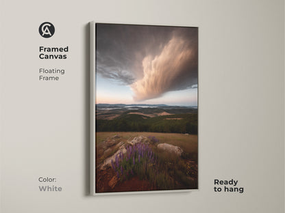 Framed canvas print capturing a dramatic storm cloud over wildflowers. The floating white frame offers a clean modern look. This nature lover gift art brings natural beauty indoors. Ready to hang.