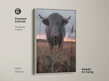 Framed canvas with a floating frame in white. Showcasing rustic bull art. Ready to hang for easy decor. This wildlife animal painting enhances any space. A unique gift for animal lovers. Country style home decor.