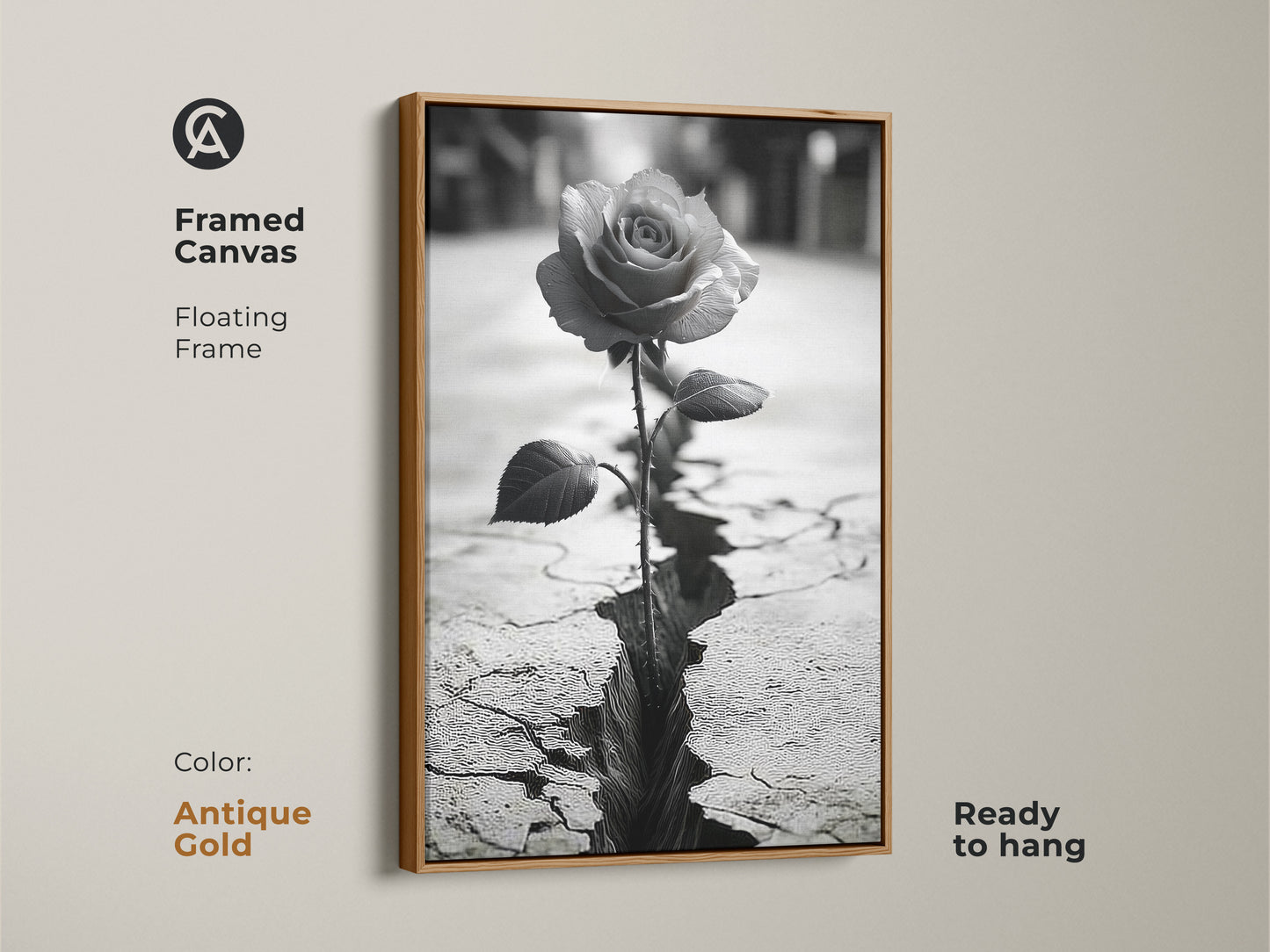 Framed canvas art with an antique gold floating frame. A monochrome rose grows from cracked ground. It symbolizes resilience and the beauty of nature. This black and white rose art enhances any space. Ready to hang. A unique housewarming gift with a contemporary touch.