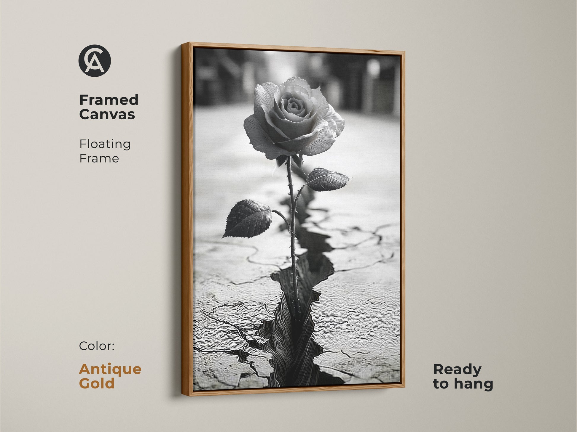 Framed canvas art with an antique gold floating frame. A monochrome rose grows from cracked ground. It symbolizes resilience and the beauty of nature. This black and white rose art enhances any space. Ready to hang. A unique housewarming gift with a contemporary touch.