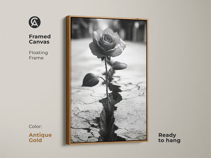Framed canvas art with an antique gold floating frame. A monochrome rose grows from cracked ground. It symbolizes resilience and the beauty of nature. This black and white rose art enhances any space. Ready to hang. A unique housewarming gift with a contemporary touch.