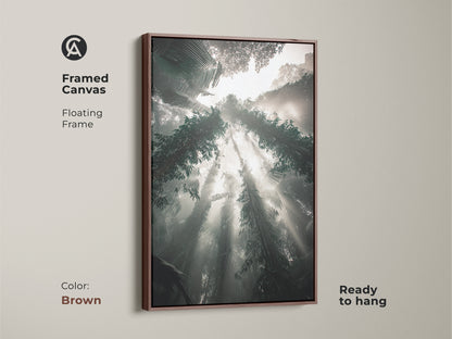 A framed canvas with a brown floating frame displays a misty forest scene with sunbeams. This teal gray green nature landscape artwork offers a biophilic accent. Ready to hang this print adds an earthy tone to any room. Perfect for nature lovers.