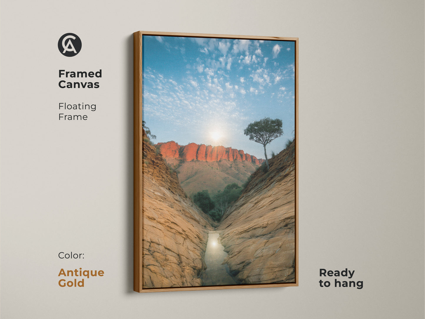 Adorn your walls with this framed canvas showcasing a stunning desert canyon. The antique gold floating frame enhances this piece of nature photography art. Ready to hang this Australian landscape brings a touch of wanderlust to your home. Perfect as a housewarming gift.